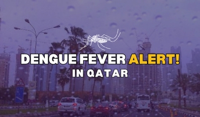 Dengue Fever Alert In Qatar